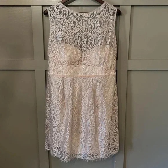 Jenny Yoo Collection Harlow Dress Champagne Metallic Lace Cocktail Bridesmaid - Picture 3 of 12